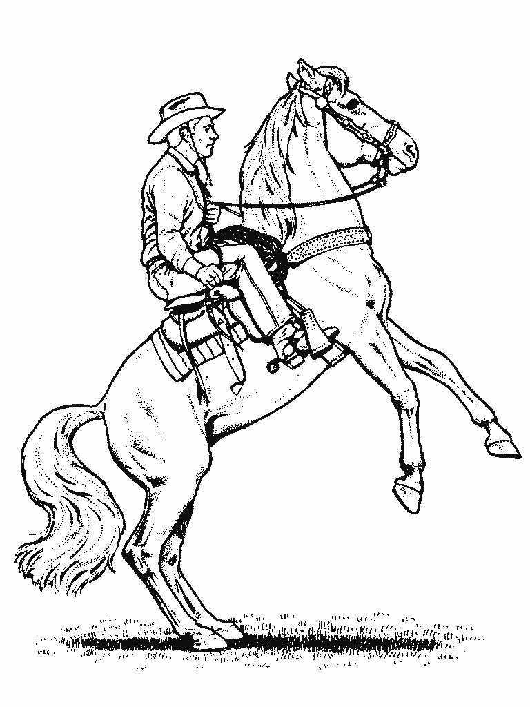 Desenhos Para Colorir  Cavalos