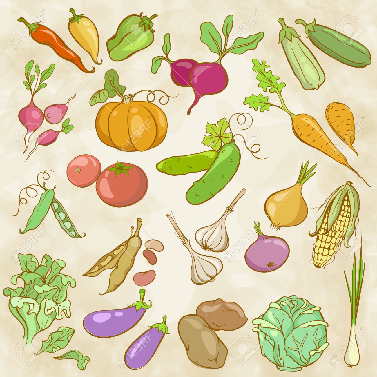 Desenho De Contornos Coloridos De Legumes Royalty Free Cliparts