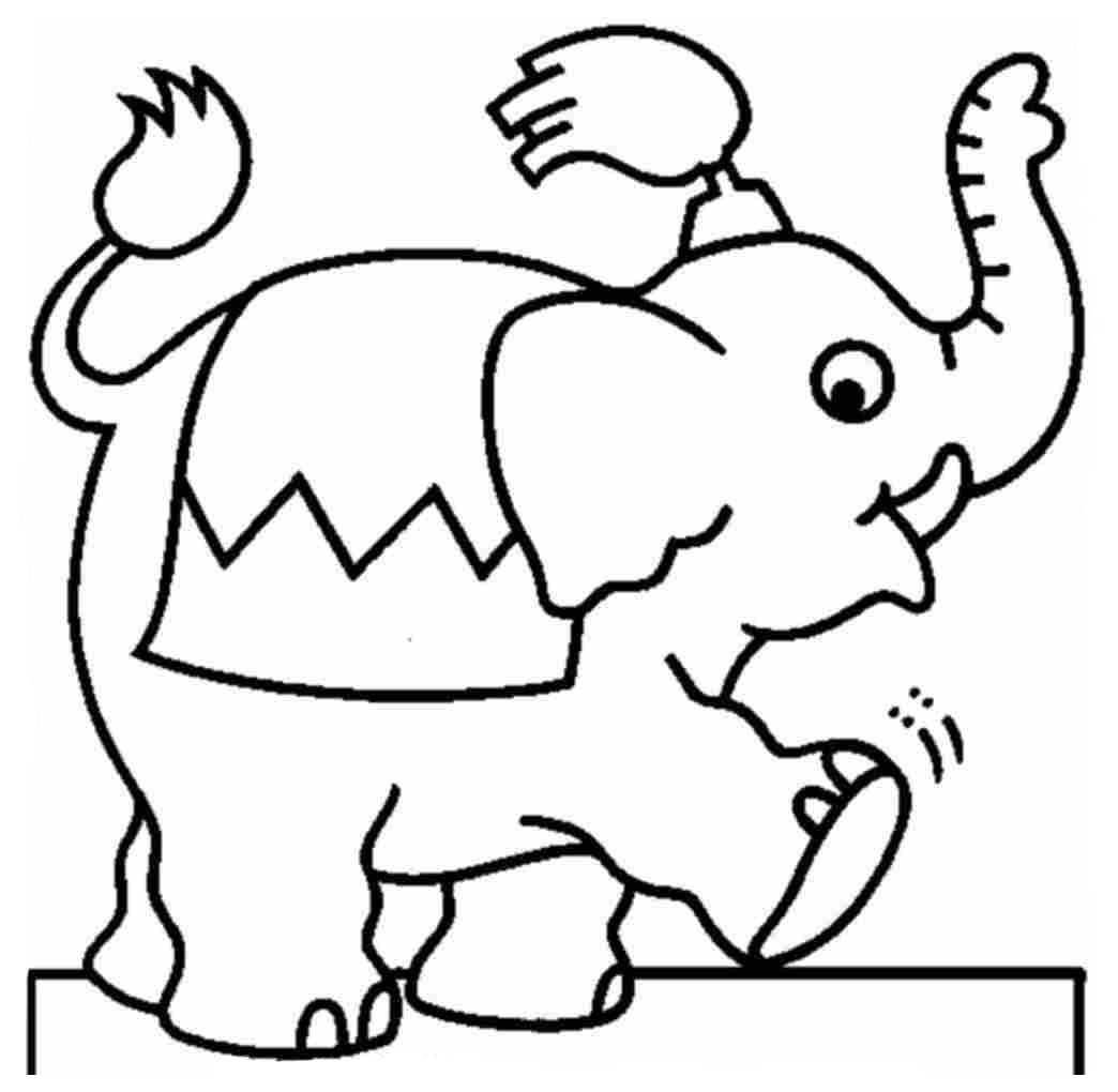 Desenhos Elefantes Para Colorir Imagens Sketch Coloring Page