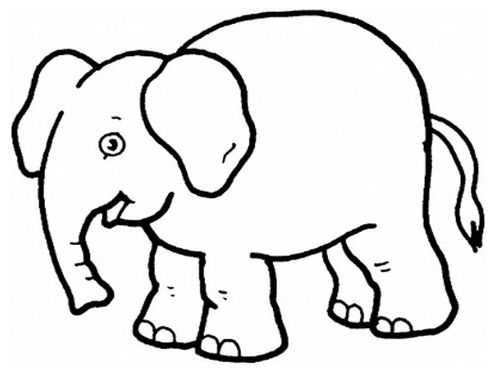 Desenhos Para Pintar De Elefantes  Desenhoswiki Com