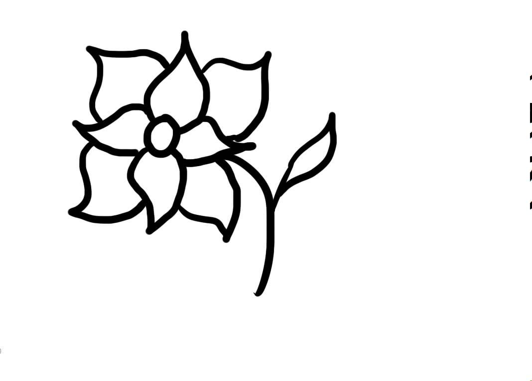 Aprenda A Desenhar Uma Flor