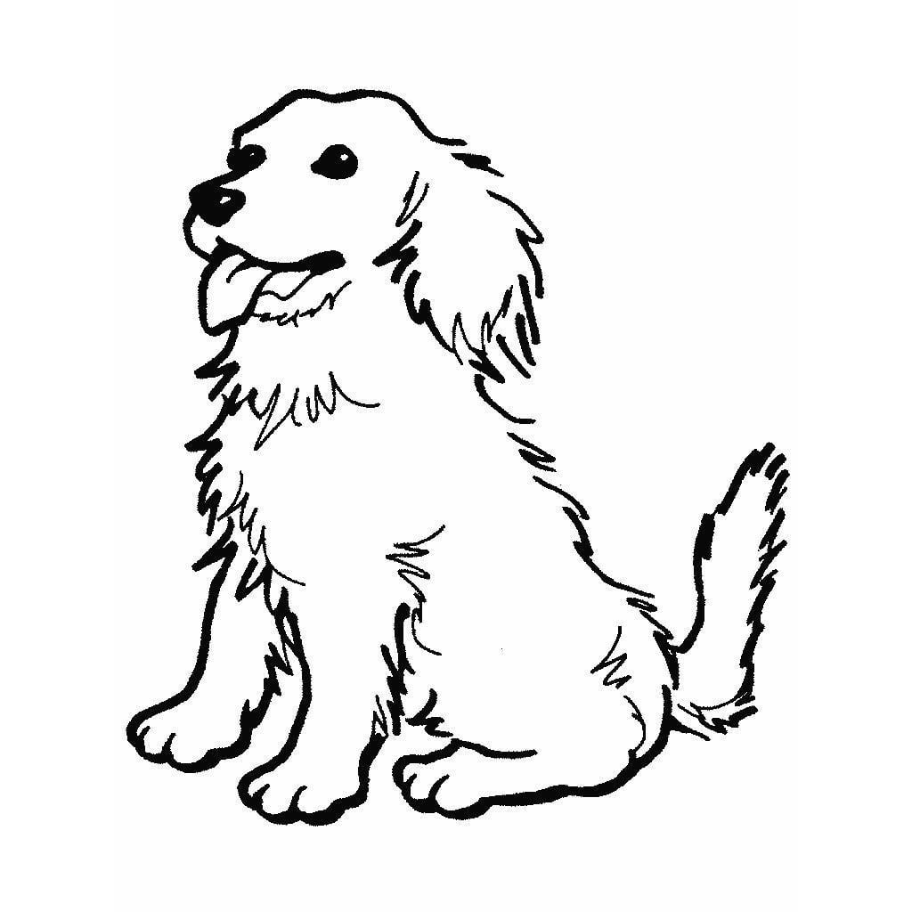 Desenhos Para Colorir De Cachorros