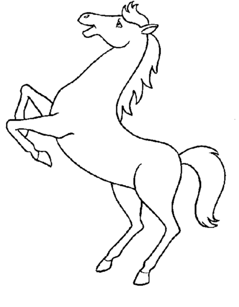Cavalo De Pintar