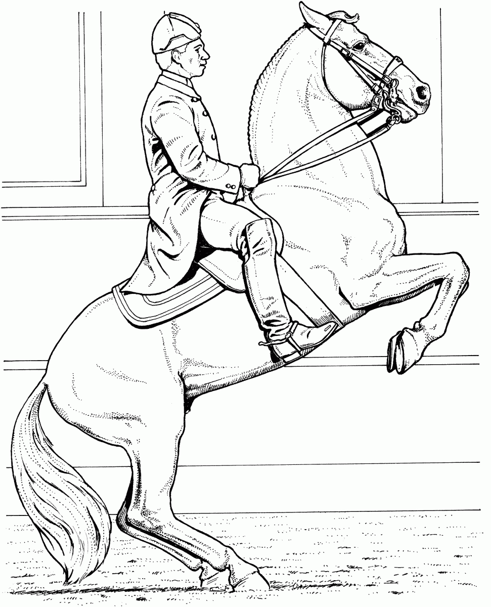 Cavalo De Pintar