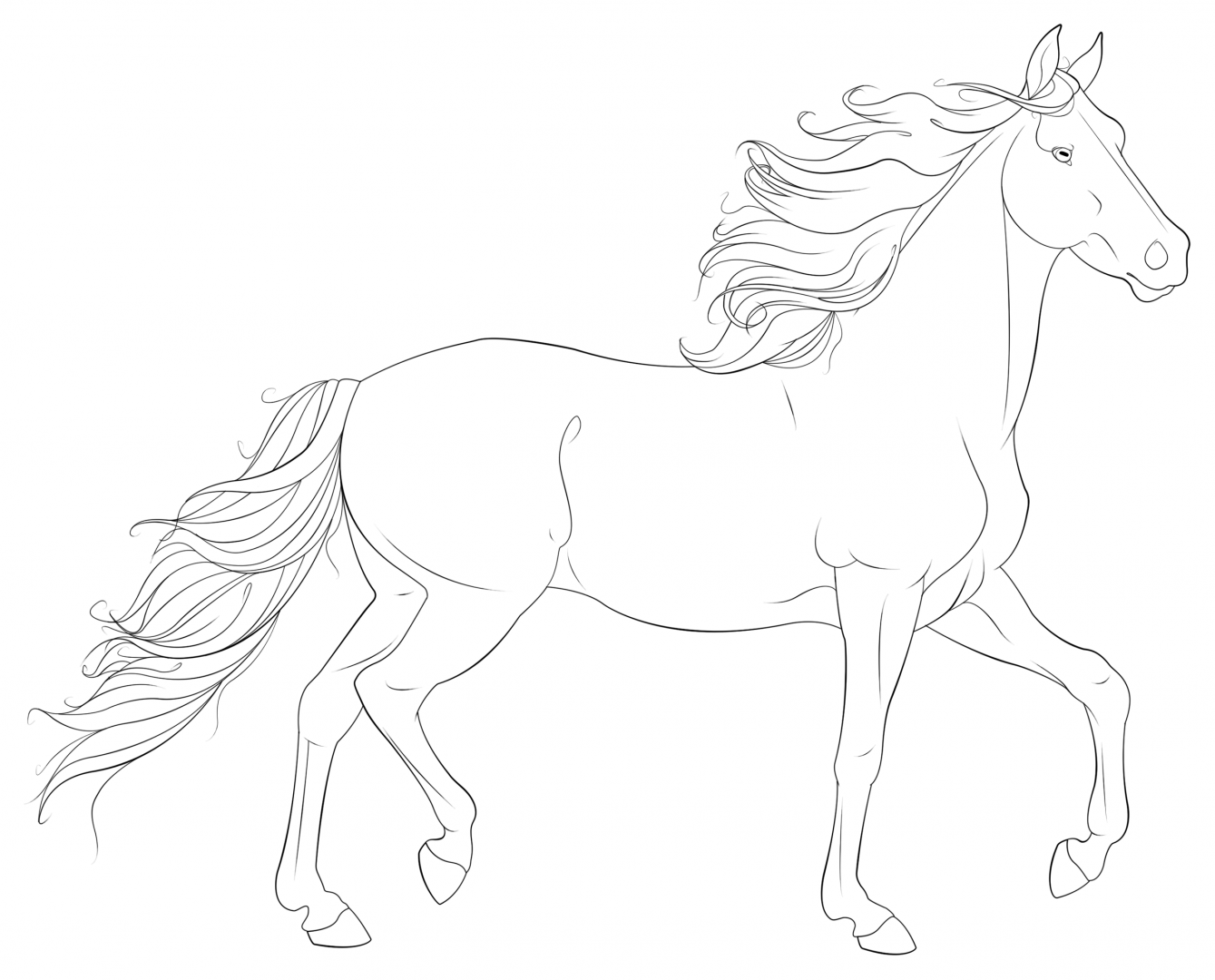 Desenhos Cavalos Selvagens