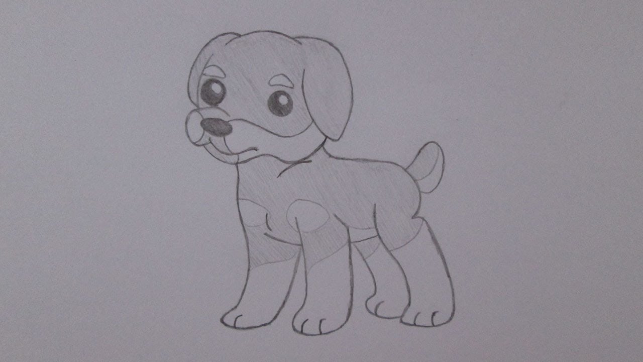 Como Desenhar Um Cachorro Rottweiler