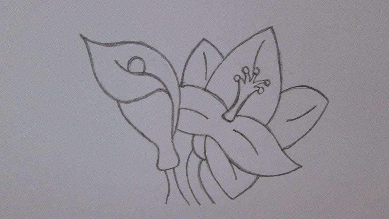 Como Desenhar Flores