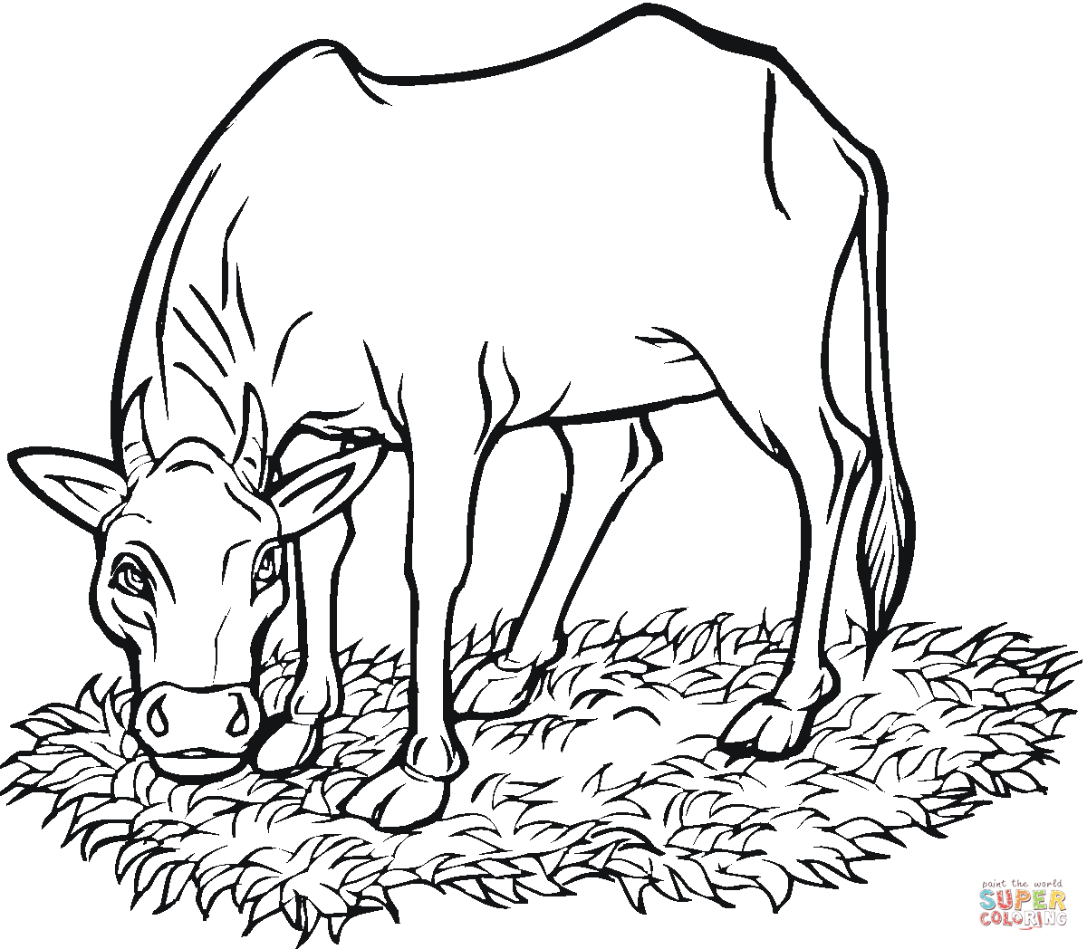 Desenho De Vaca Comendo Grama Para Colorir
