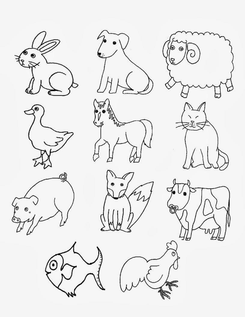 Desenhos Para Pintar  Desenhos De Animais Para Colorir Online