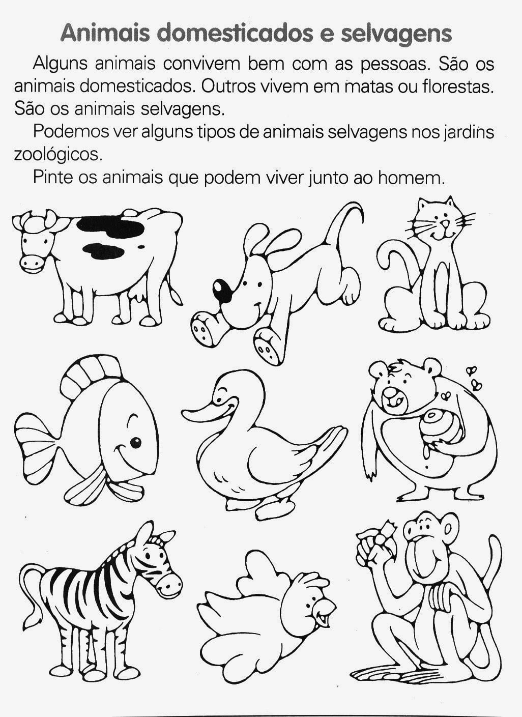 Imagens De Animais Dom Sticos E Selvagens Para Colorir â Pampekids Net