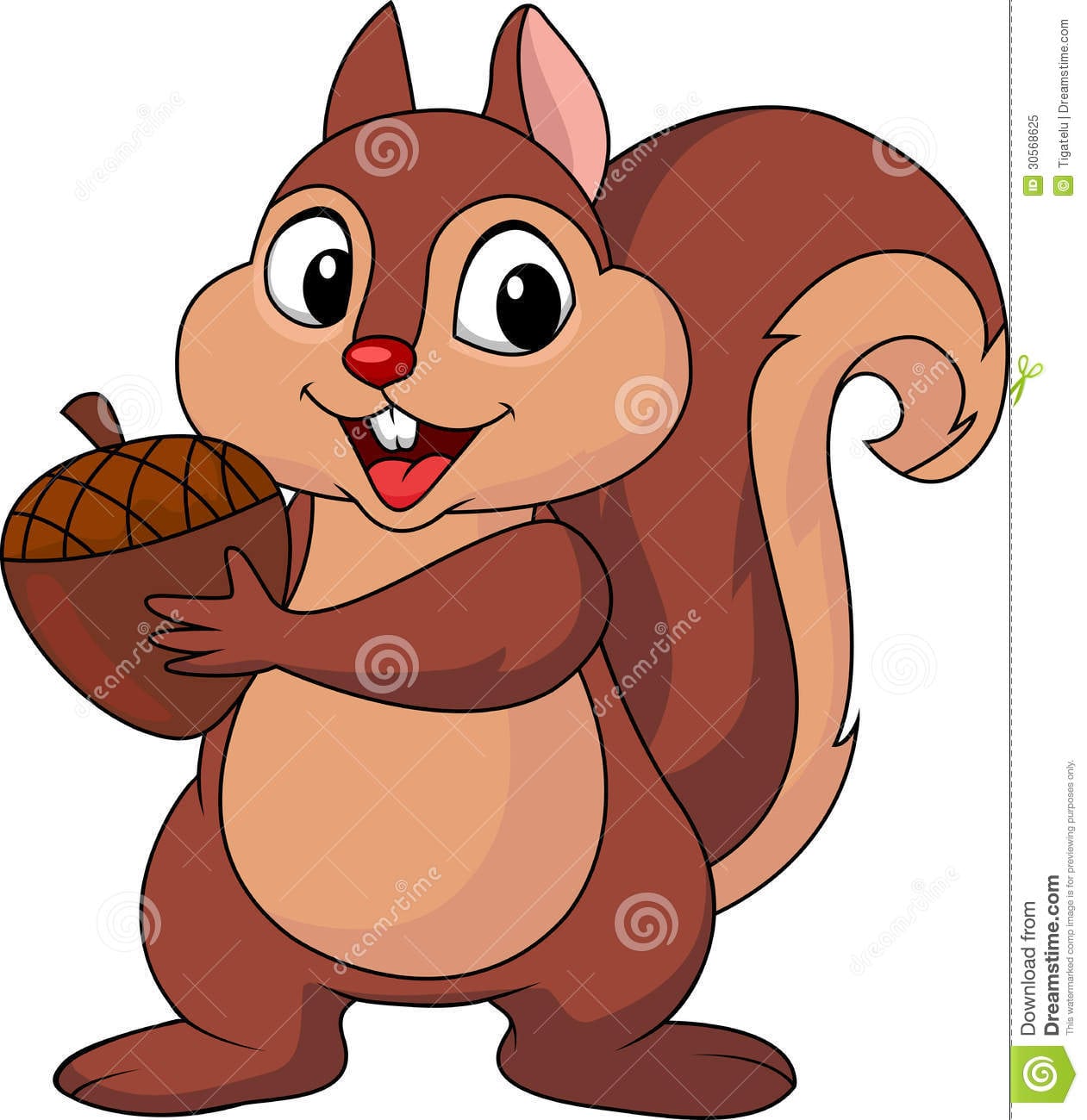 Desenhos Animados Do Esquilo Com Porca IlustraÃ§Ã£o Do Vetor