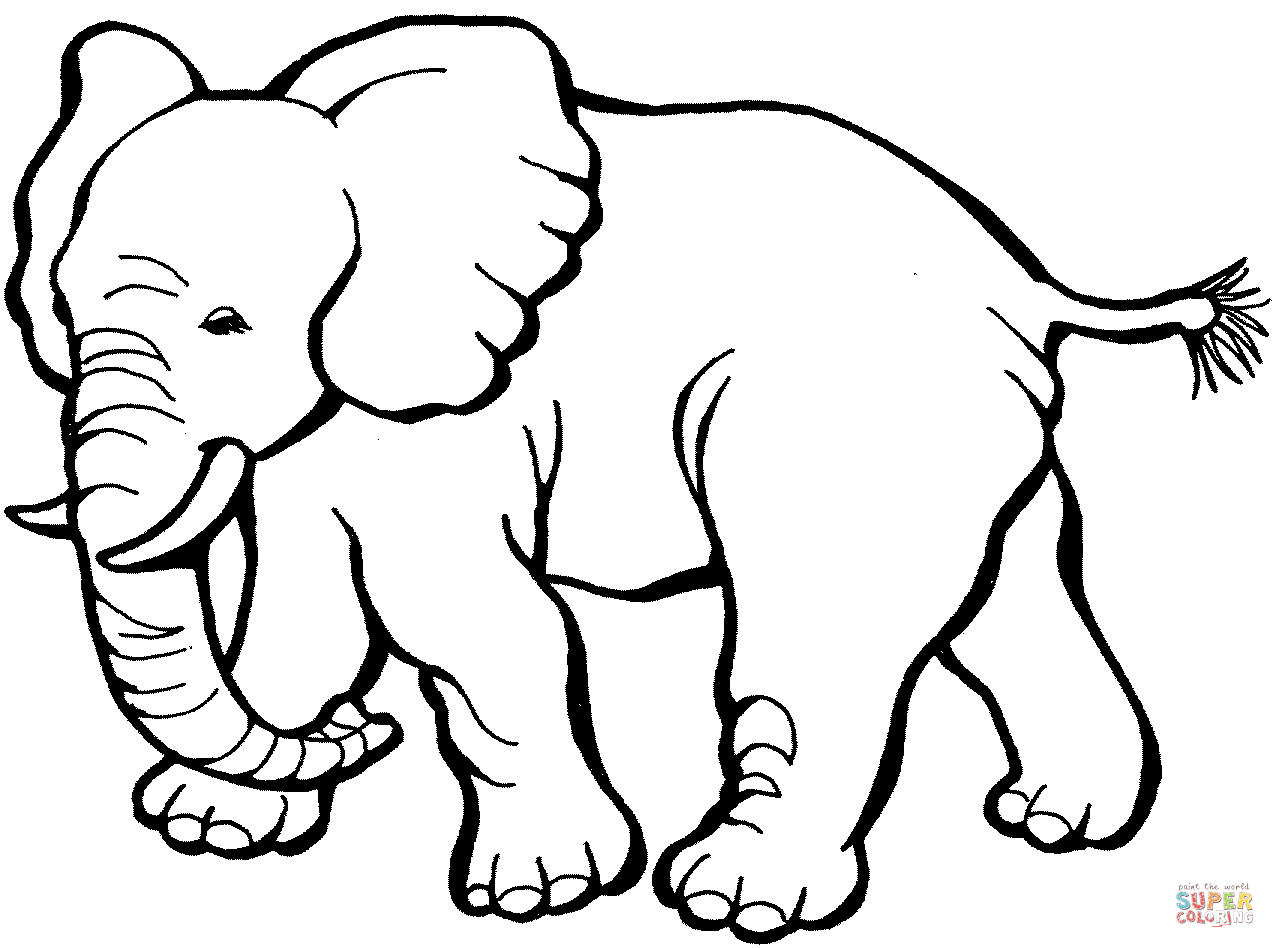 Elefante Para Colorir E Pintar 6
