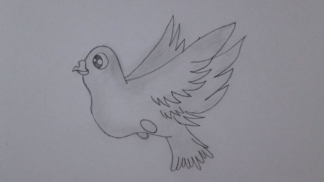 Como Desenhar Um Pombo