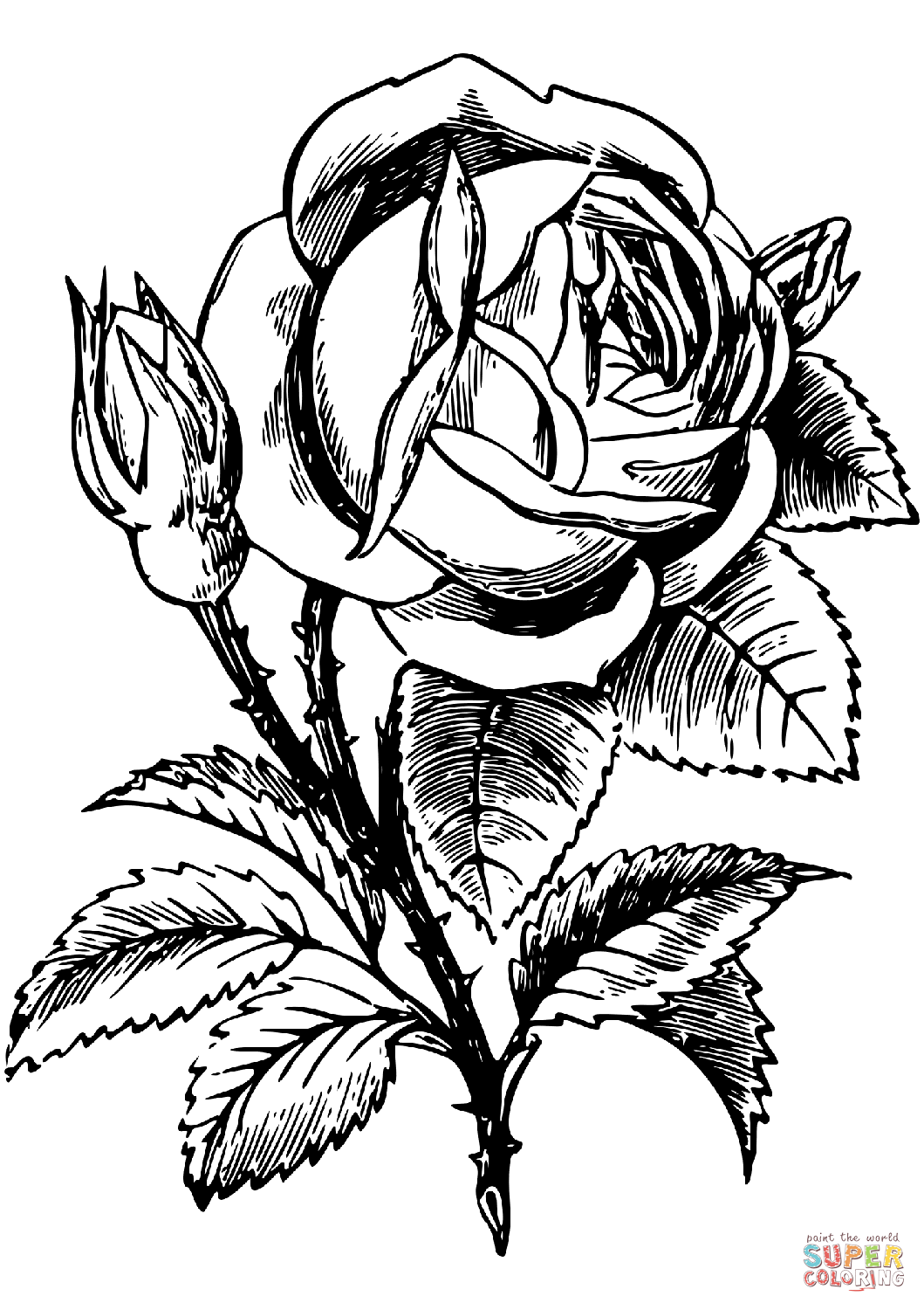 Desenho De Rosa Para Colorir