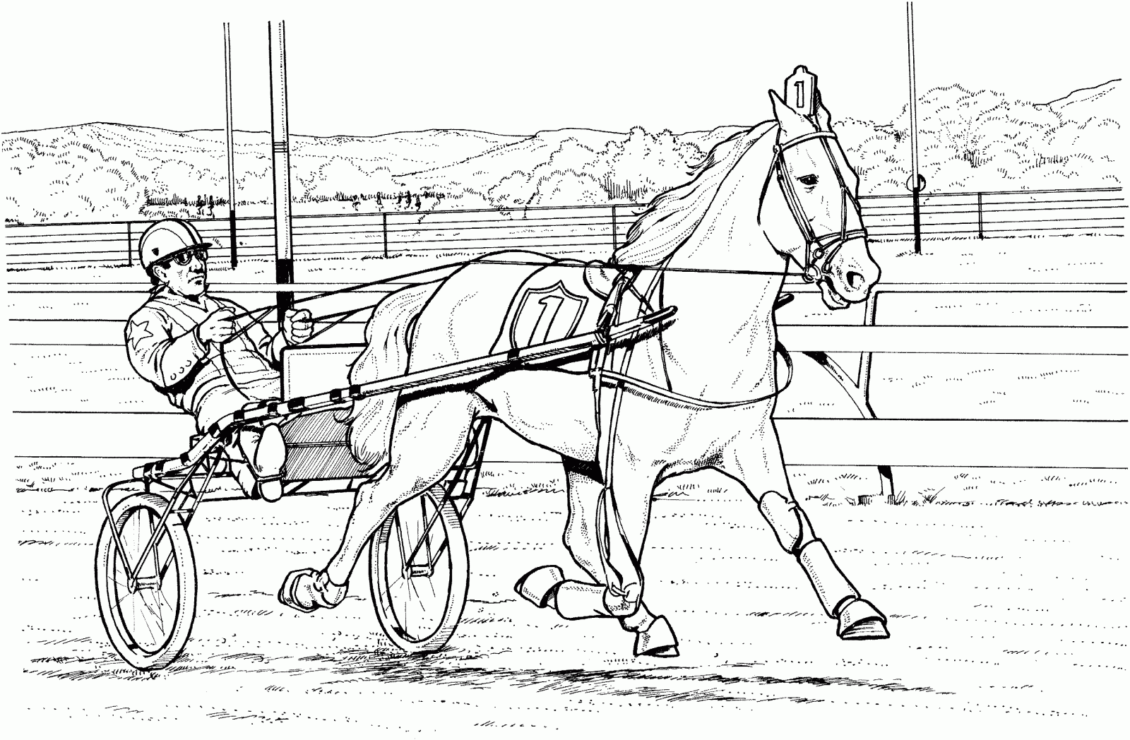 Desenho De Cavalo Para Pintar