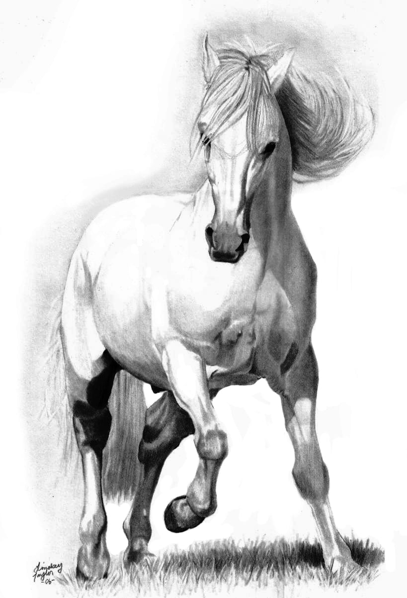 Pin Do(a) Jewel Hofmann Em Horses