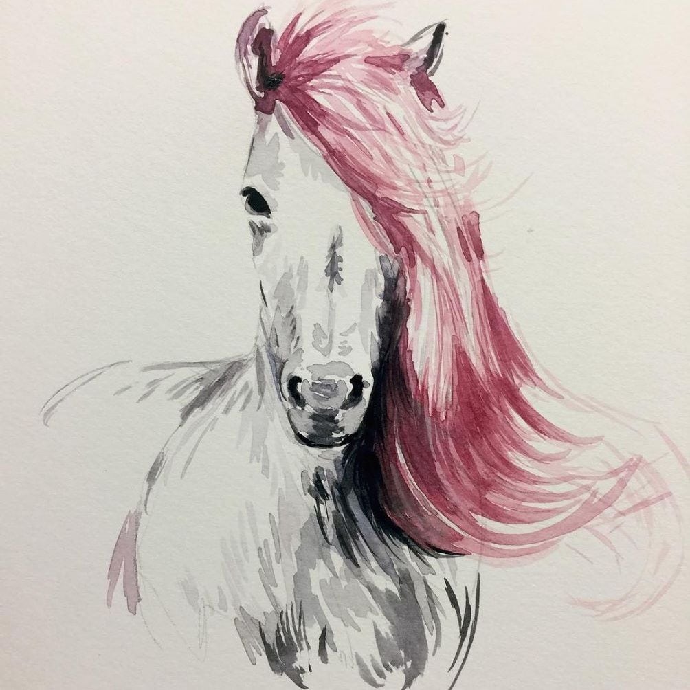 Arte De Cavalo Com A Crina Rosa   Arte  Desenho  Art  Cavalo