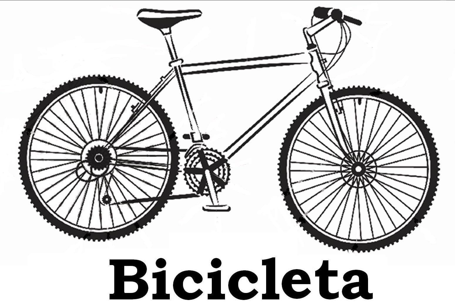 Bicicleta_3
