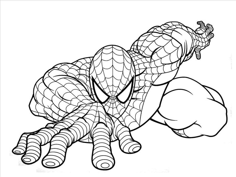Desenho Do Homem Aranha Para Colorir E Imprimir  Confira Desenhos