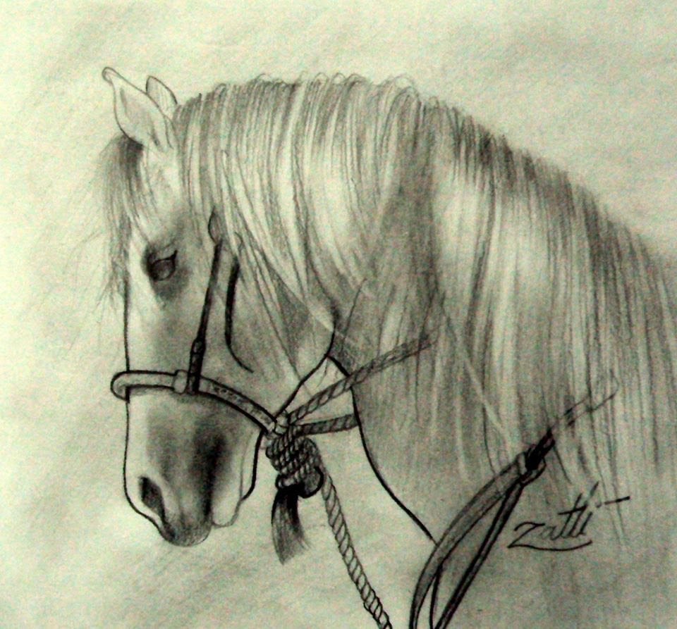 Como Desenhar Um Cavalo