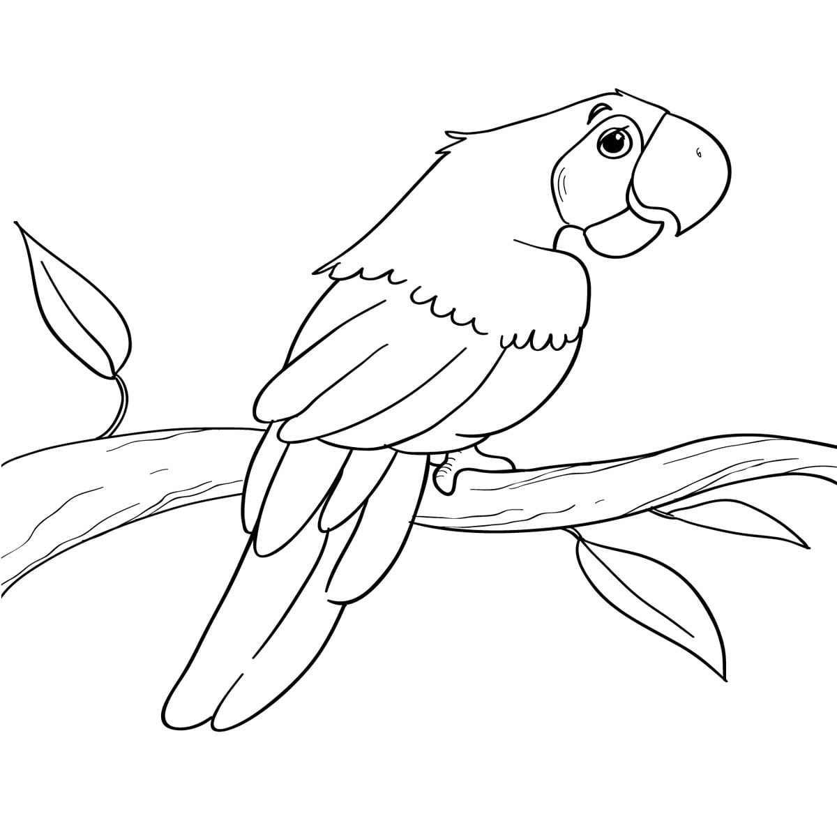 Papagaio Desenho De Para Imprimir Papagaios Colorir Car Sketch