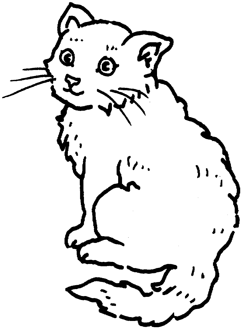 Desenhos De Gatos Para Imprimir E Colorir â Matring Org