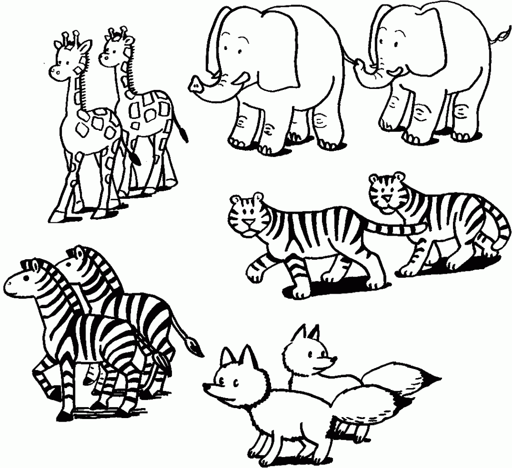 Desenhos De Animais Para Colorir E Imprimir