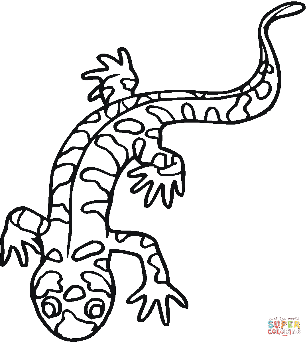 Desenho De Salamandra