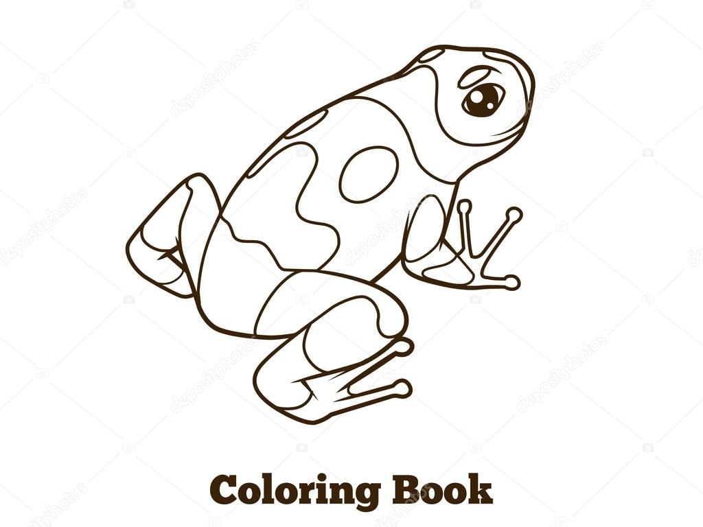 Desenho De Sapo Vetor De Livro De Colorir â Vetores De Stock