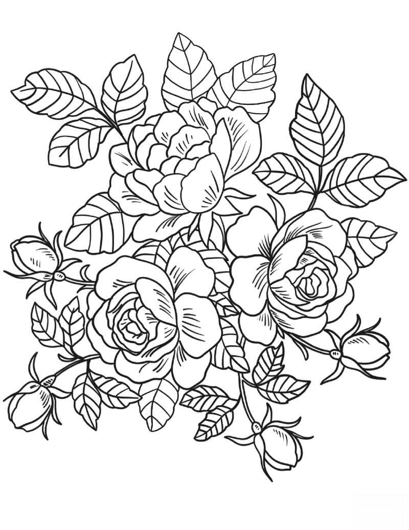 Desenho De Rosas Para Colorir  20 Imagens Para Imprimir