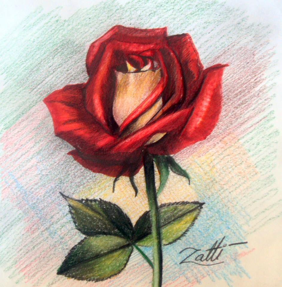 Desenhando Uma Rosa