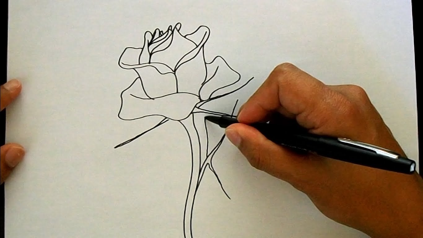 Como Desenhar Uma Rosa
