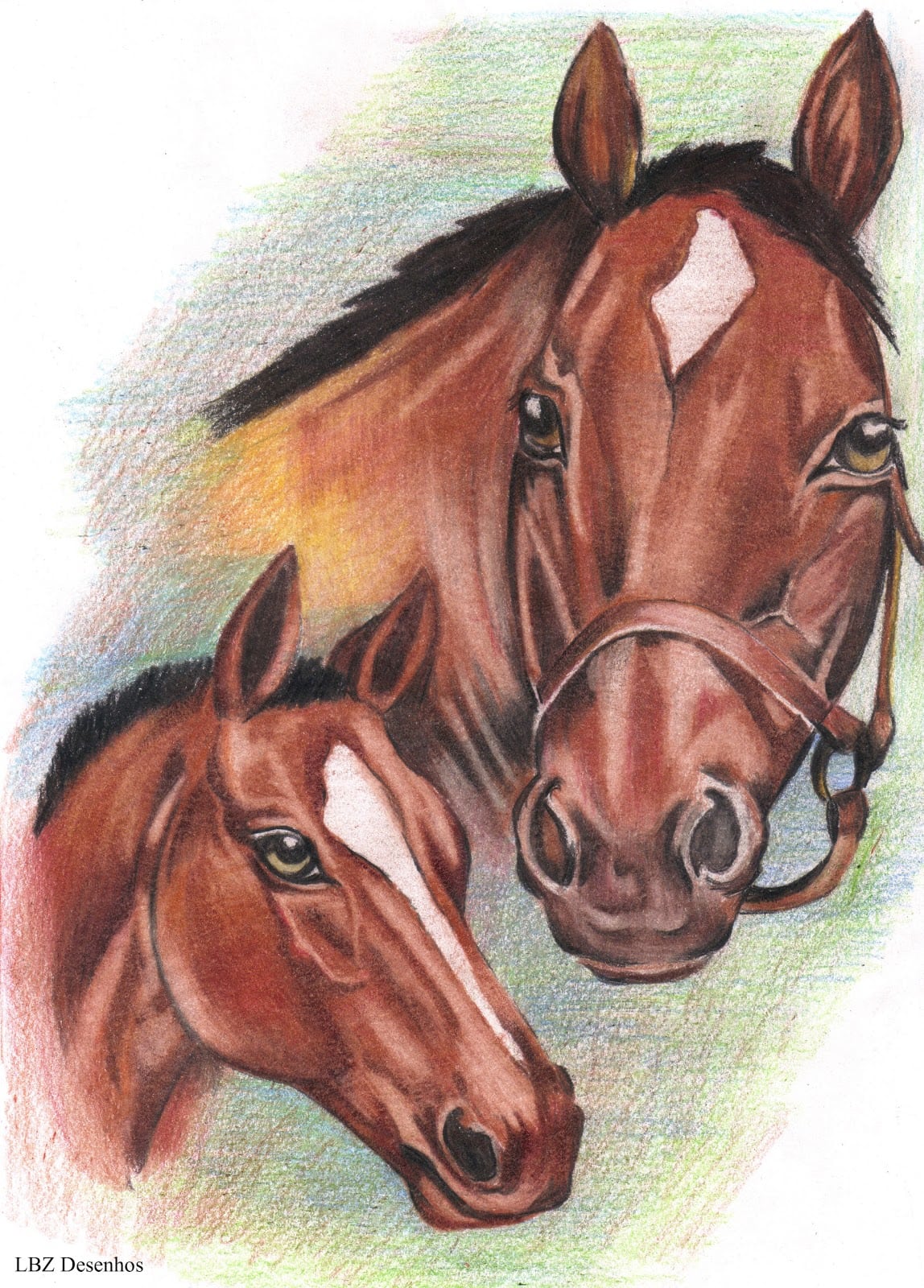 Cavalos NotÃ­cias   VÃdeo  Desenhos De Cavalos Que Parecem Ser Reais