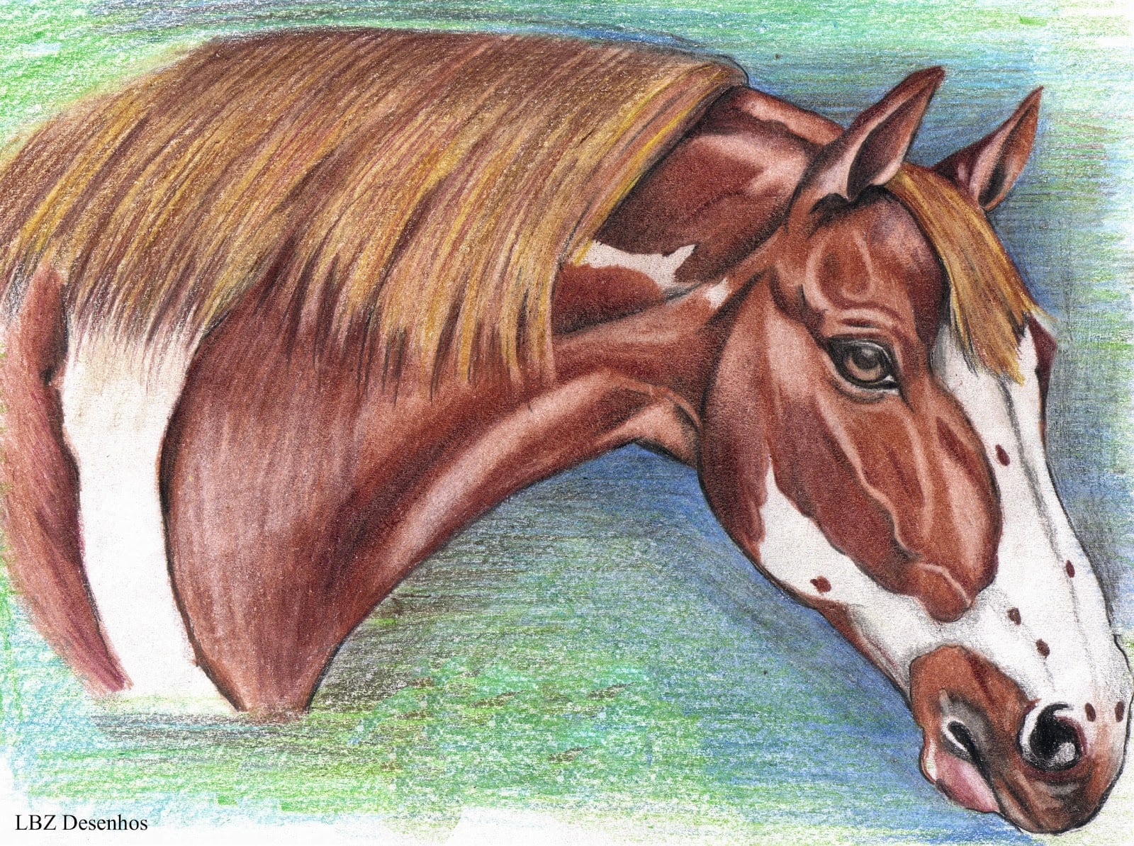 Lbz Desenhos  Cavalos