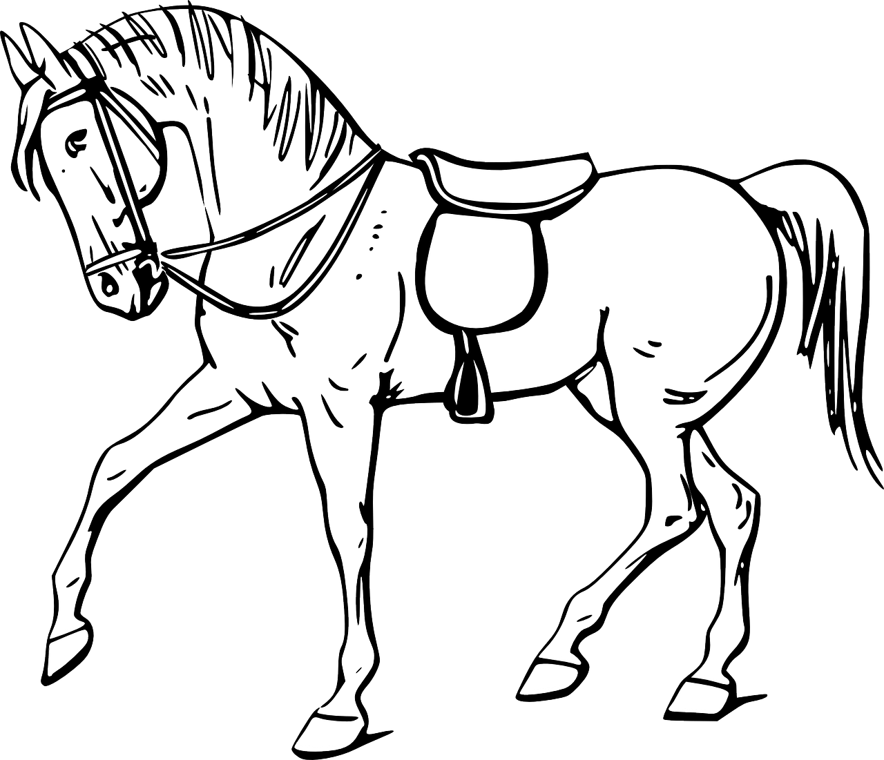 Como Aprender A Desenhar Um Cavalo â HerÃ³is No Papel