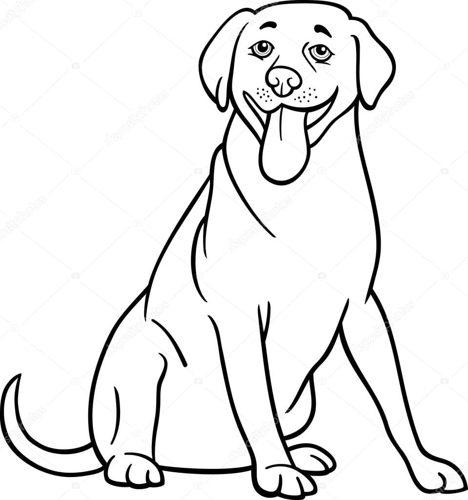 Desenho De Cachorro Labrador Retriever Para Colorir â Vetores De