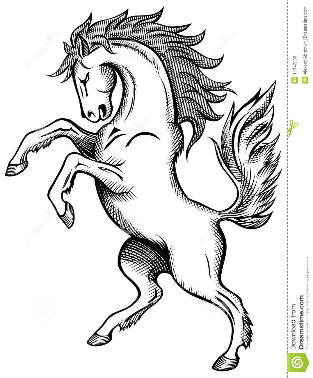 Imagens De Cavalos Para Desenhar