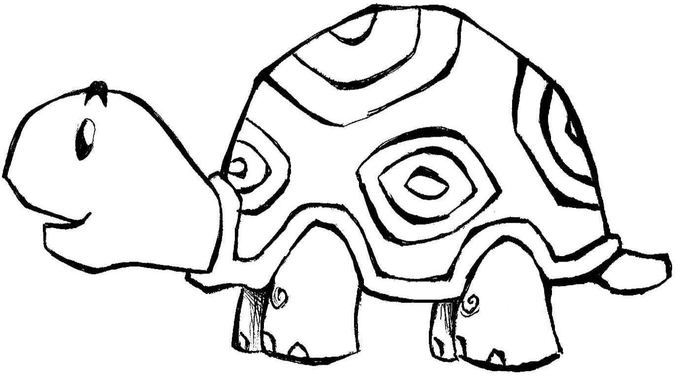 Desenho De Animal Para Colorir  Desenho De Tartaruga
