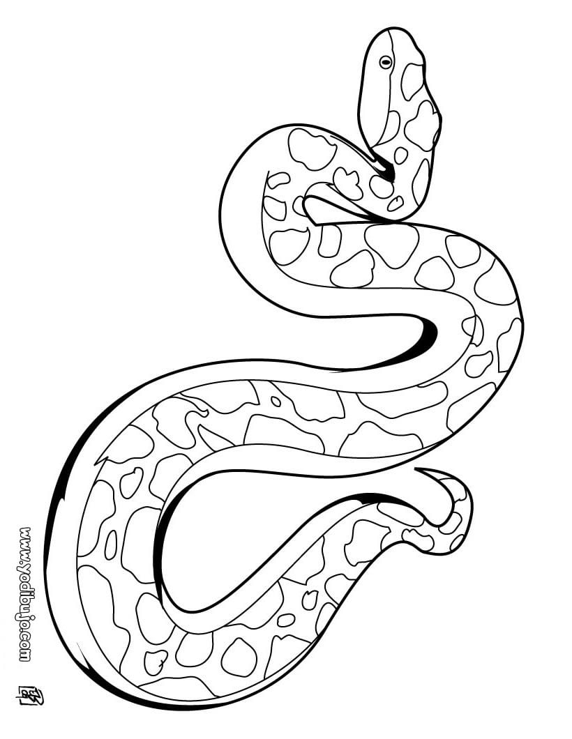 Dibujos Para Colorear Cobra