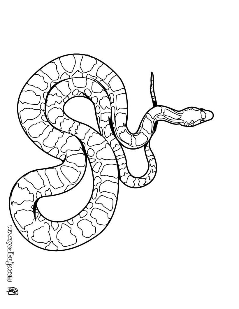 Dibujos Para Colorear Cobra
