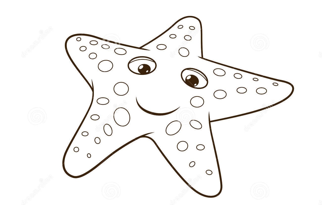 Estrelas Do Mar Para Pintar 3