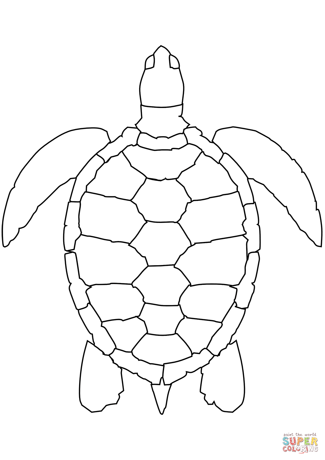 Desenho De Tartaruga Marinha Para Colorir