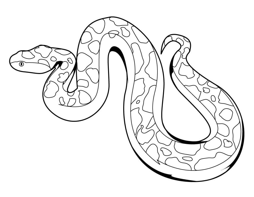 Serpientes Para Pintar    ImÃ¡genes Y Fotos