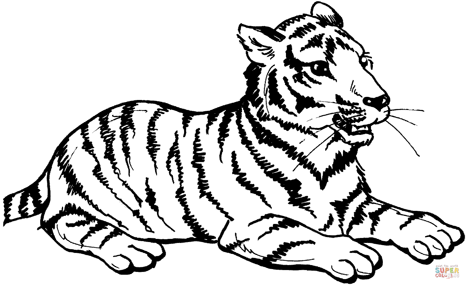 Desenho De Tigre Senta Para Colorir