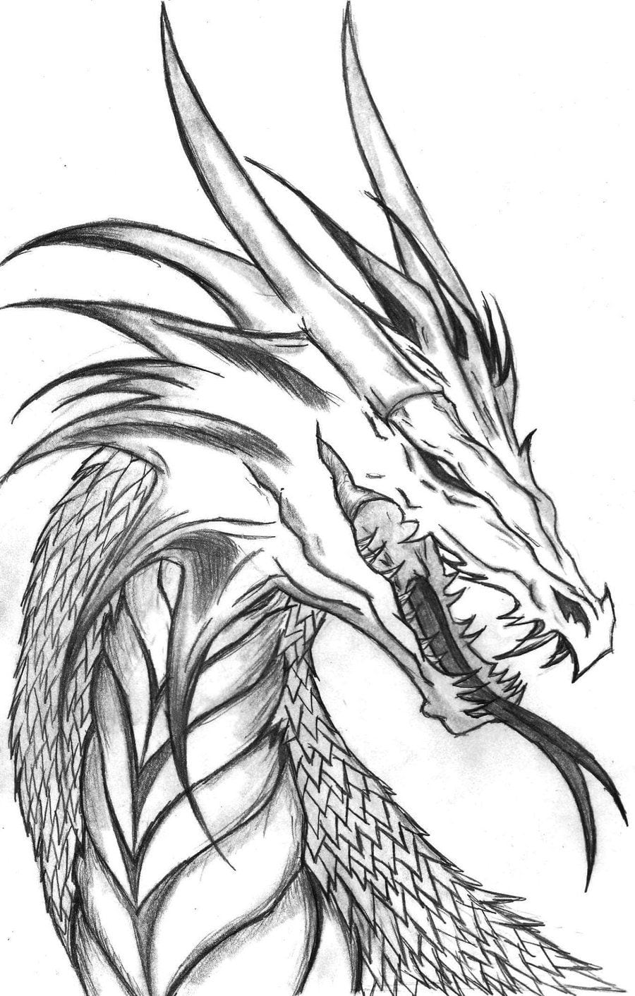 Dragon Head Side Profile By ~the