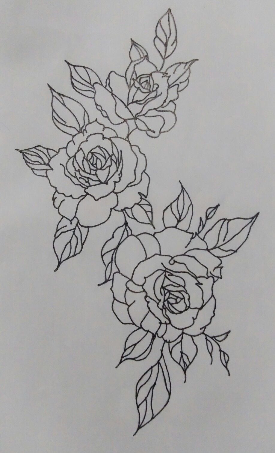 Desenhos Rosas Tattoo