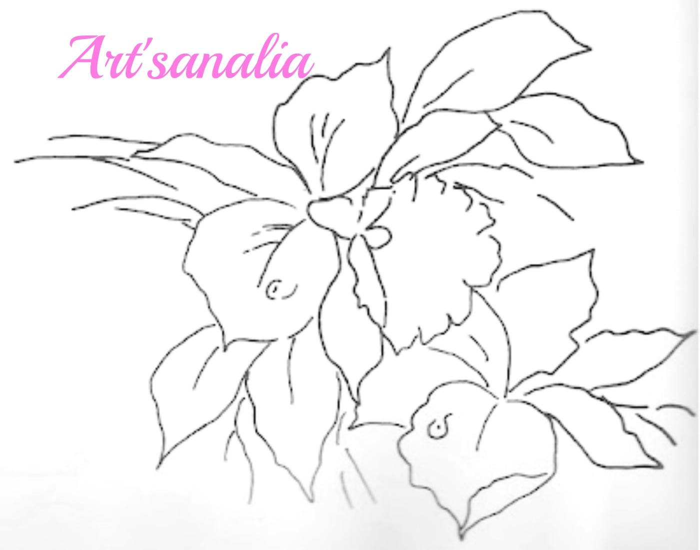 Desenhos De Orquideas Para Pintar