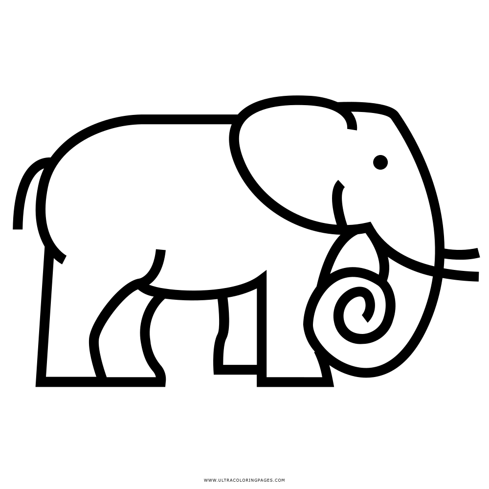 Elefante Desenho Para Colorir