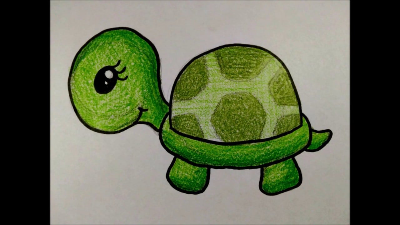 Como Desenhar Uma Tartaruga Fofa Desenhos Faceis Simples