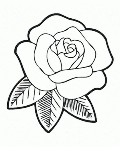 Desenhos Para Pintar De Rosas Desenhos Para Colorir De Rosas